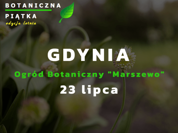 Botaniczna piatka Gdynia 1
